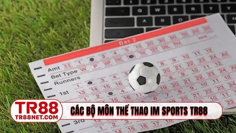 Các bộ môn thể thao tại IM Sports TR88