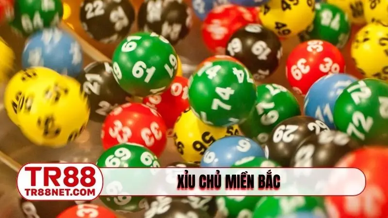 xỉu chủ miền bắc